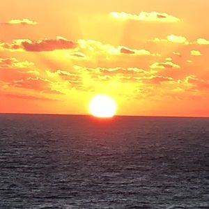 Meet your Posher, Carole